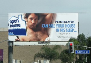 Real Estate Agent billboard ad